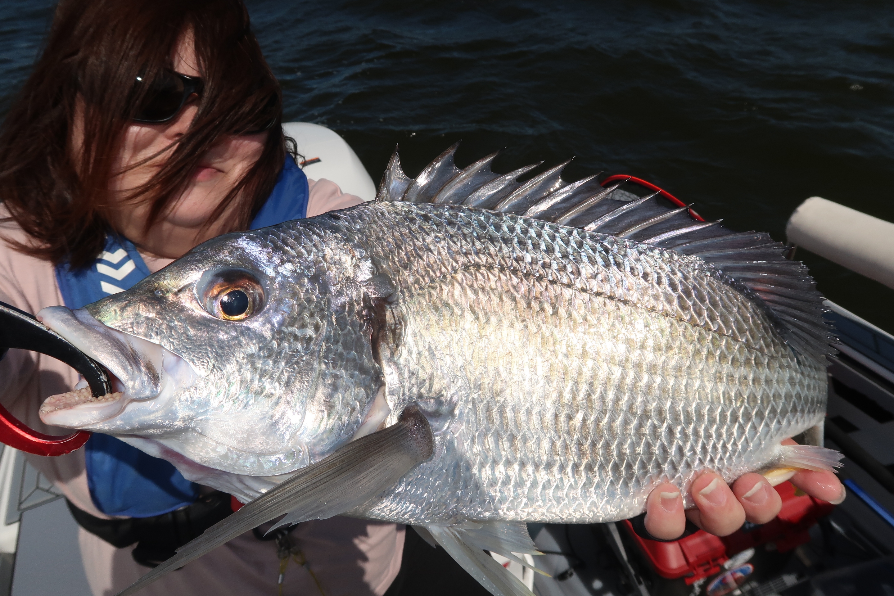鯨を釣り上げた Izena Island #2] The biggest anglerfish catch in history at