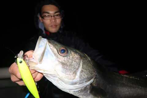 20200322223013_IMG_8069