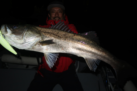 sketch-1700758448451