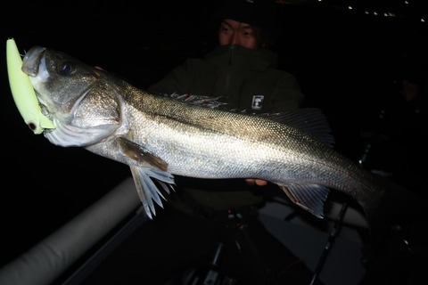 20231114203620_IMG_8469