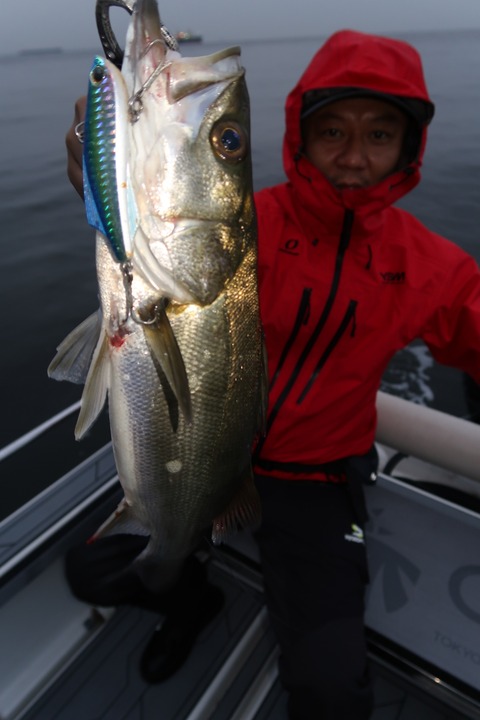 20200618185526_IMG_9278