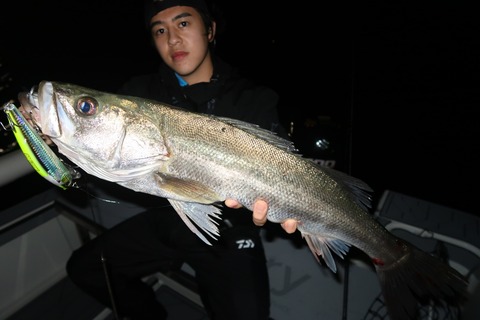 20201004234132_IMG_0395