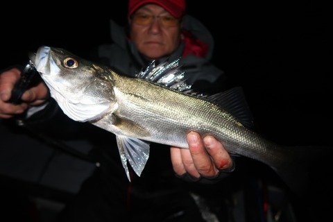 20200204034848_IMG_7348