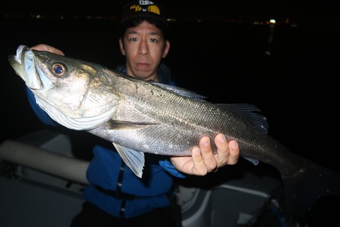 20240427201846_IMG_1282