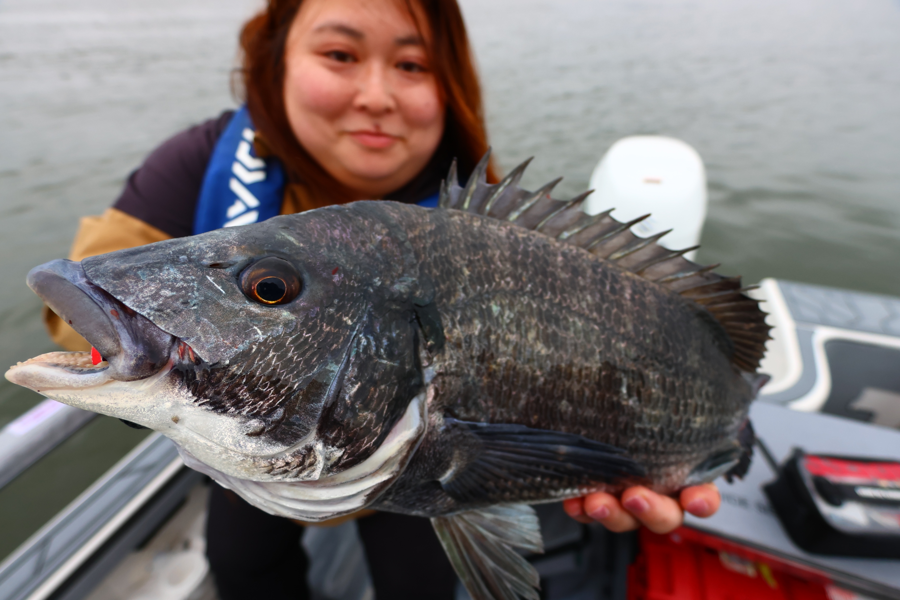 6月20日釣果情報！！ : TOKYOBAY FISHING GUIDE SERVICE Glory