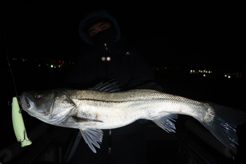 20221221003645_IMG_4238