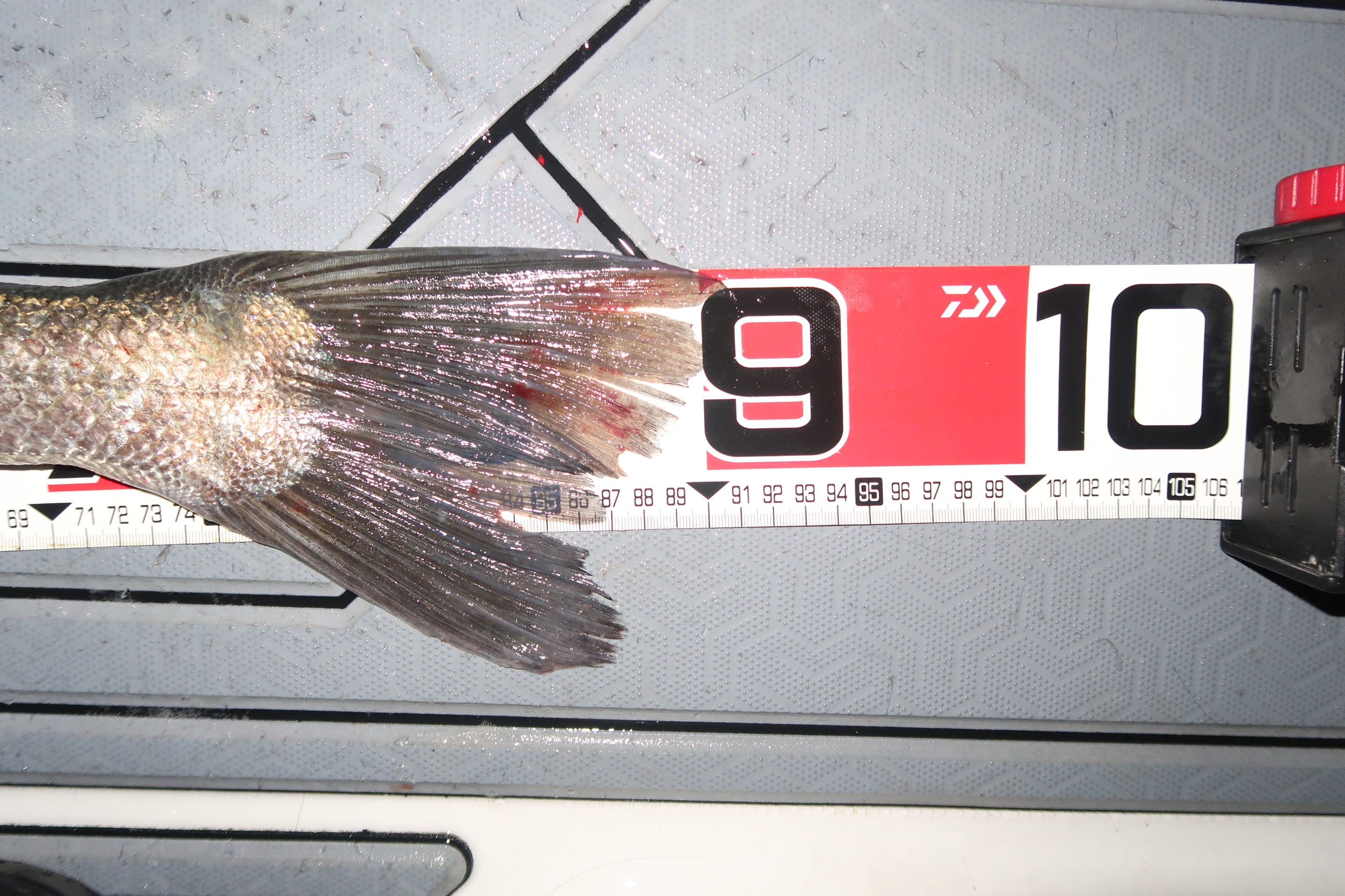 ユキ@　 Xyz Reborn (anime) | Yu-Gi-Oh! Wiki | Fandom