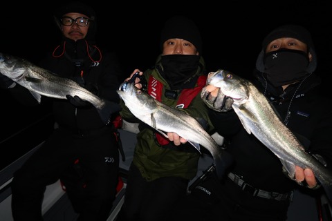 20200314212521_IMG_7974