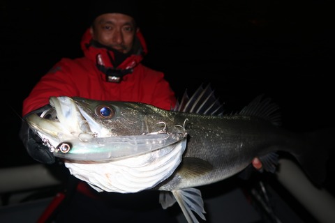 20221217183449_IMG_4190