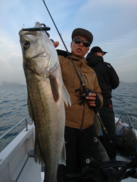 sketch-1544187348584