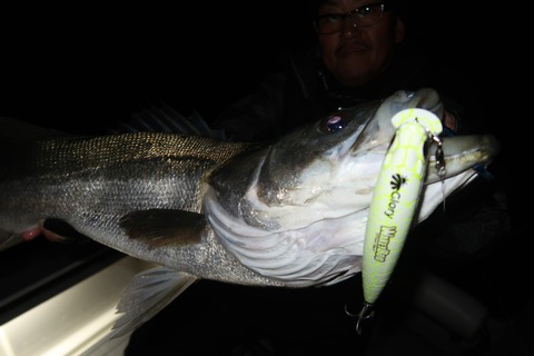 20211214201809_IMG_8615