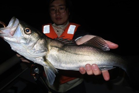 20231028222229_IMG_8243