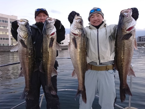 [画像:a6aa44c2-s.jpg]