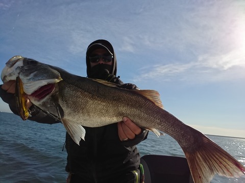 [画像:a6ac6db6-s.jpg]