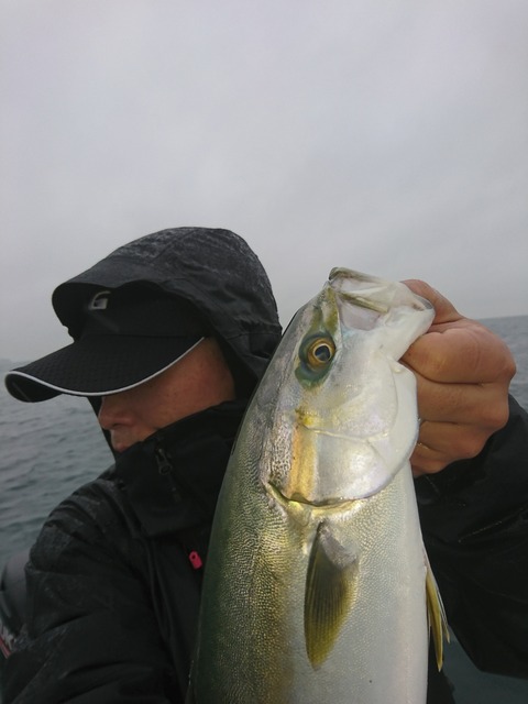 [画像:a6c8c9ad-s.jpg]