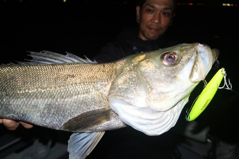 20240425210535_IMG_1231