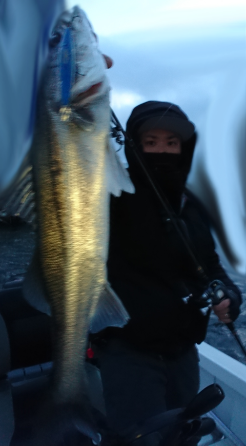 sketch-1518832716982