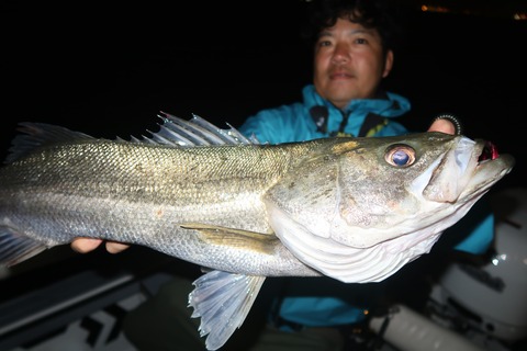 4月22日〜23日釣果情報!! : TOKYOBAY FISHING GUIDE SERVICE Glory 4月22日〜23日釣果情報!! : TOKYOBAY FISHING GUIDE SERVICE Glory