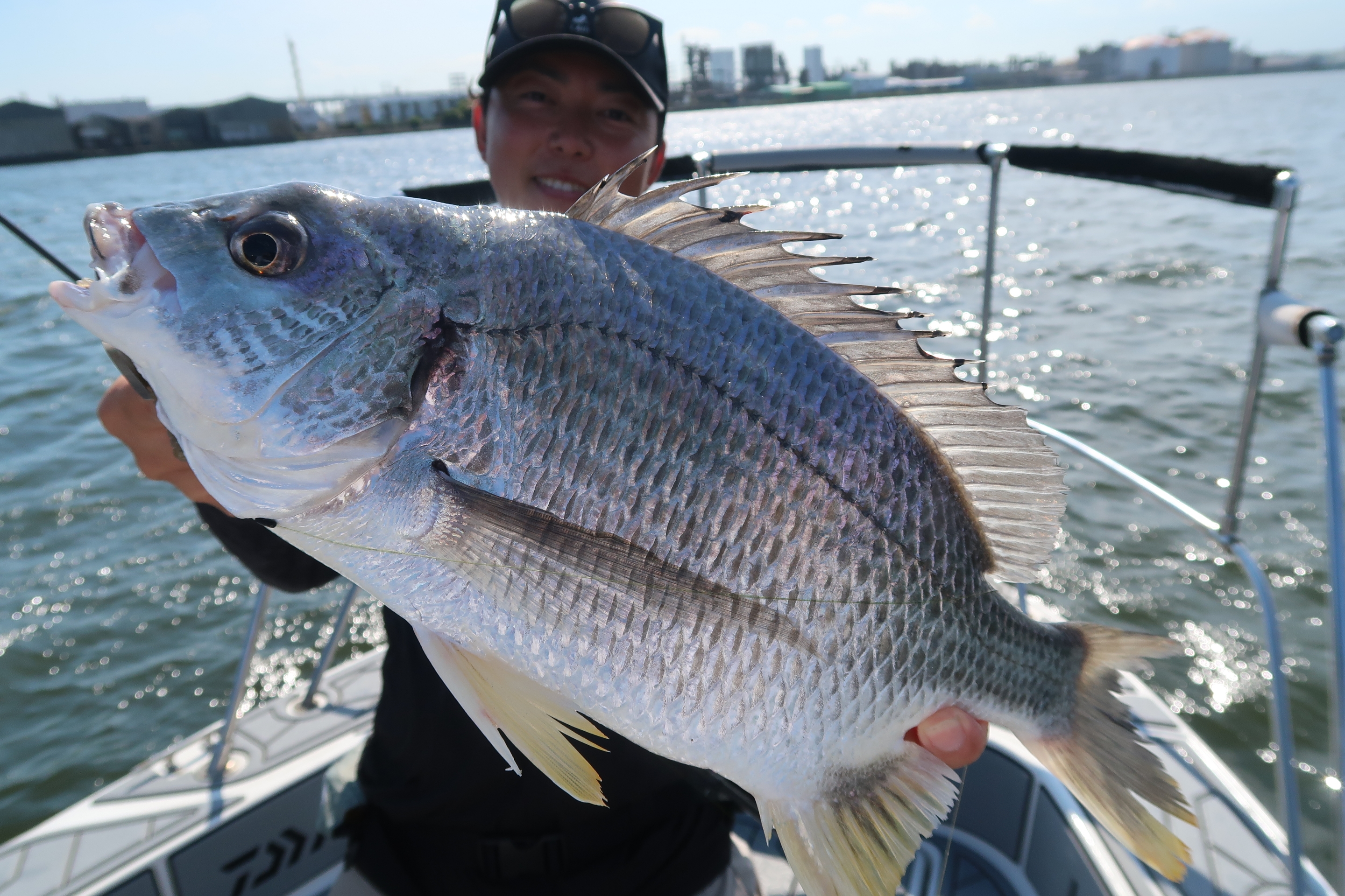7月22日釣果情報！！ : TOKYOBAY FISHING GUIDE SERVICE Glory