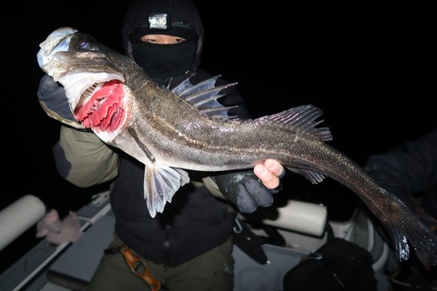 20210130185751_IMG_2894