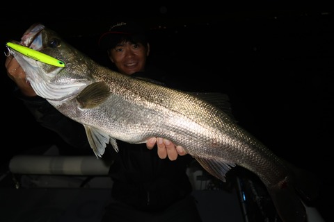 20200926185613_IMG_0234