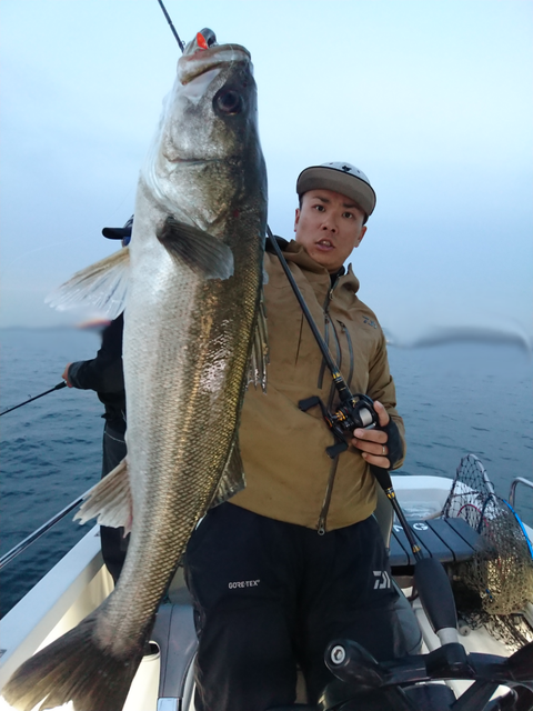 sketch-1544187321558