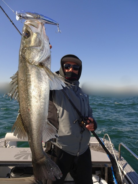 ぼかし丸_20191130_215328