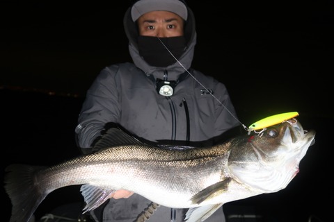 20200125225107_IMG_7268