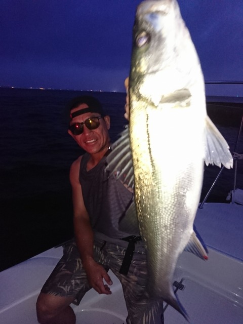 [画像:aaf93e2e-s.jpg]