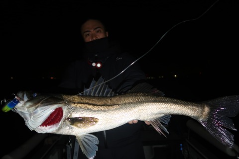 20240401215548_IMG_0809