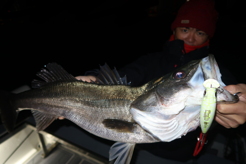 sketch-1639254873909