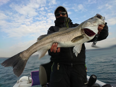 sketch-1513863240365