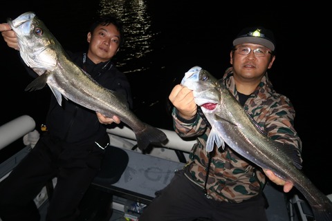 20201003234106_IMG_0384_1