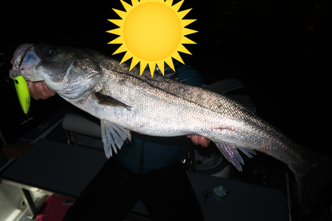 sketch-1639493433599