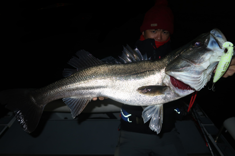 sketch-1639254853883