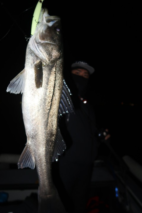 20240107001337_IMG_9548