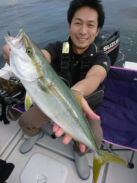 [画像:ad333da0-s.jpg]