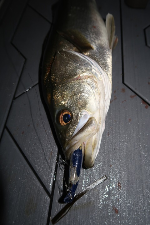 20200501232430_IMG_8638