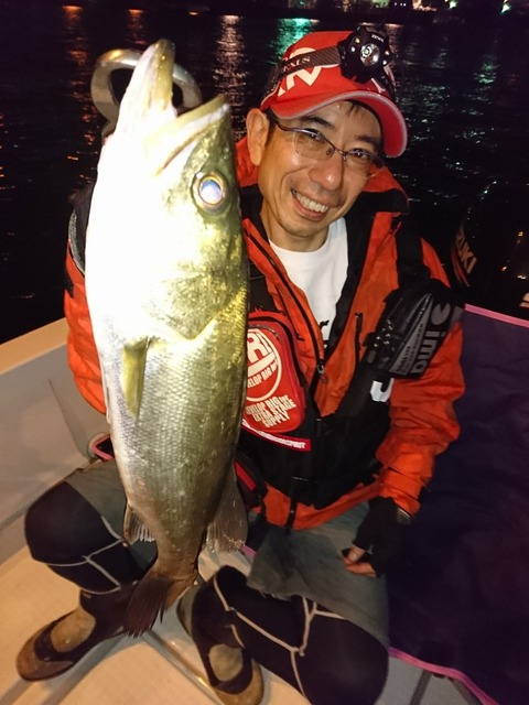 [画像:ad545770-s.jpg]