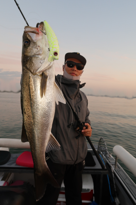 sketch-1602583910255