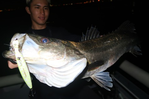 20240425230908_IMG_1239