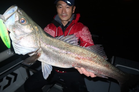 20221115002541_IMG_3315