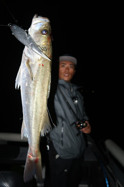 20201003222803_IMG_0366