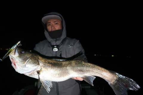 20200325190957_IMG_8132