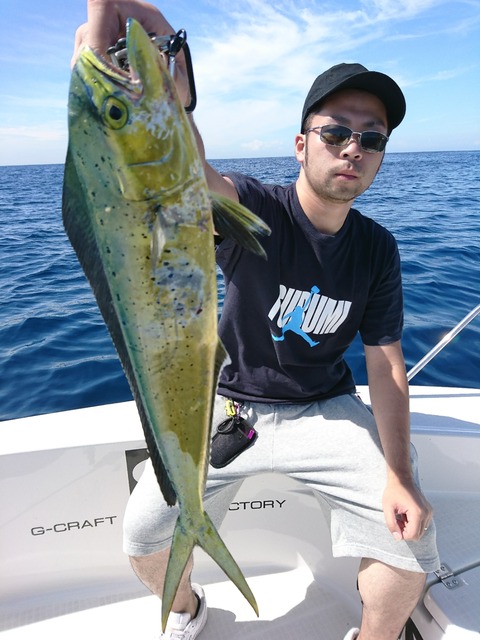 [画像:aecd2d66-s.jpg]