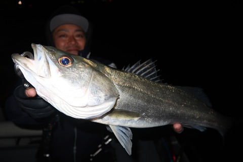 20200302222539_IMG_7845