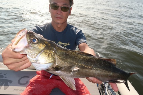 20200825072438_IMG_9955