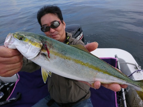 [画像:affe594d-s.jpg]