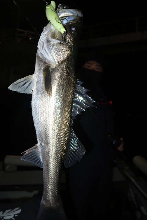 20240406212150_IMG_0873