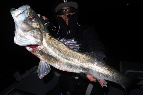 20200307205835_IMG_7889